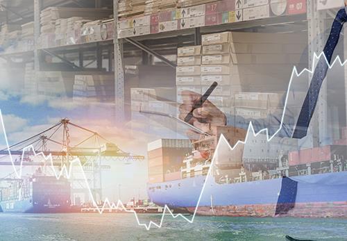 五陽供應(yīng)鏈管理俄文網(wǎng)站